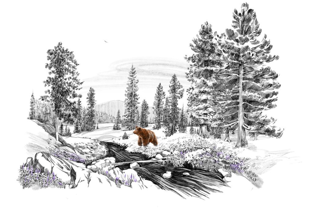 Berloga — la taïga et l’ours — Ann Fedoseeva