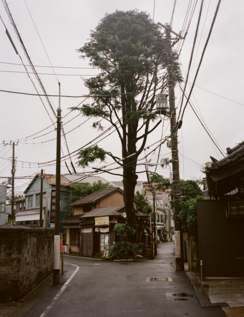 Yanaka – photographie de référence — Austin Rossborough
