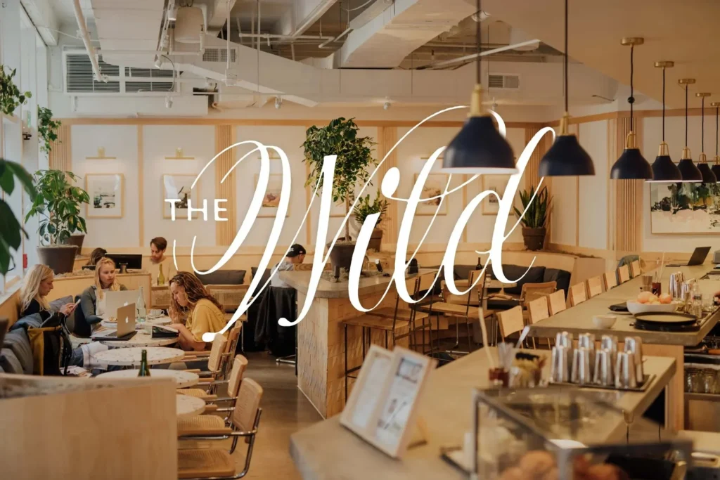The Wild — identité du café-bar — Adam Vicarel