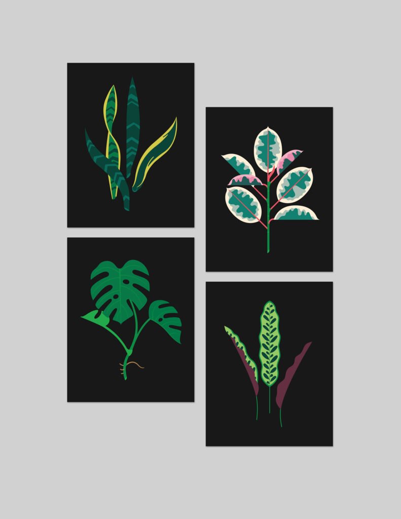 « Houseplant Specimens » — Always With Honor