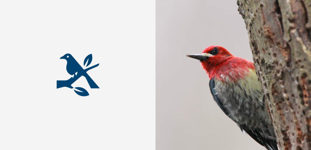 Portland Audubon – icônes de mission — Always With Honor