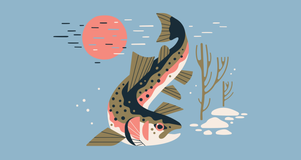 Truite arc-en-ciel anadrome (steelhead) – Native Fish Society — Always With Honor
