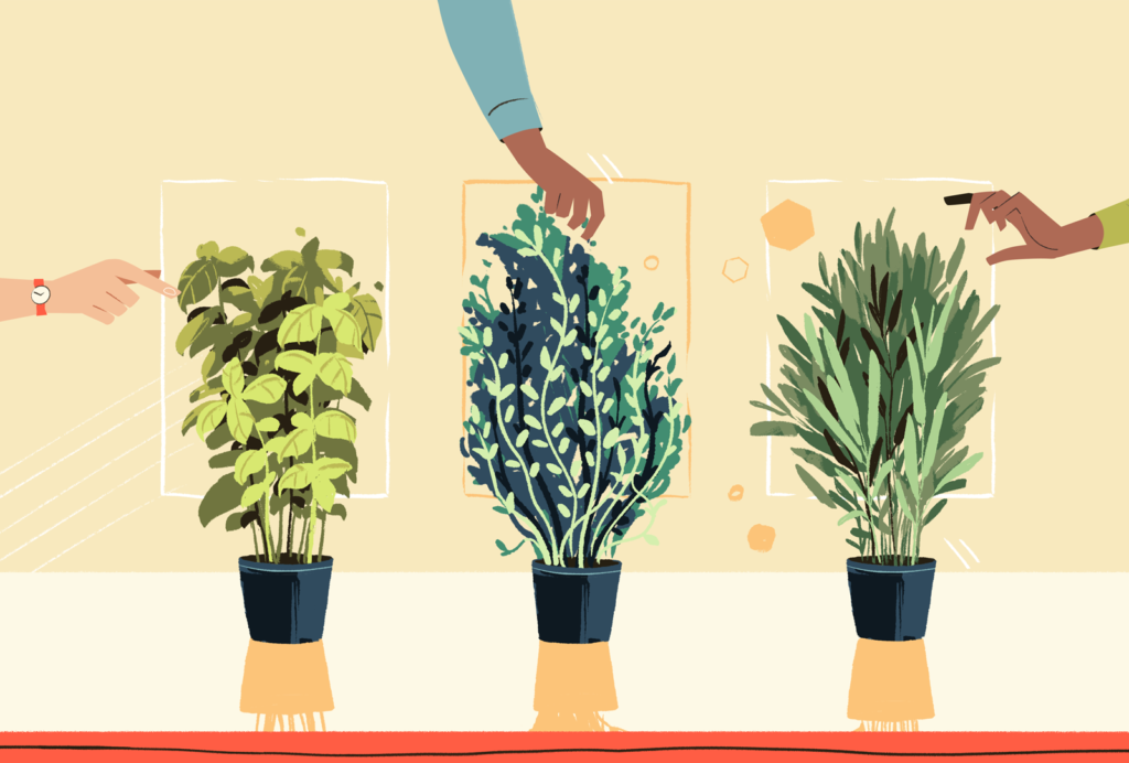 North Shore Living Herbs and Greens — BluBlu Studios