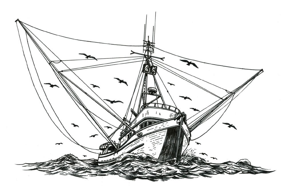 Illustration Alaskan Amber — Blindtiger Design