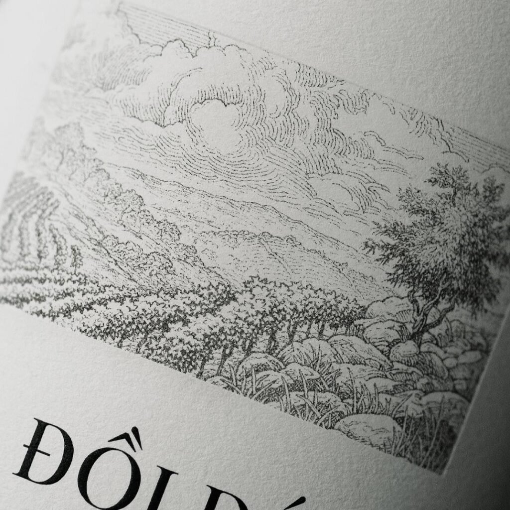 Ðồi Ðá – illustration à la plume — CF Napa Brand Design