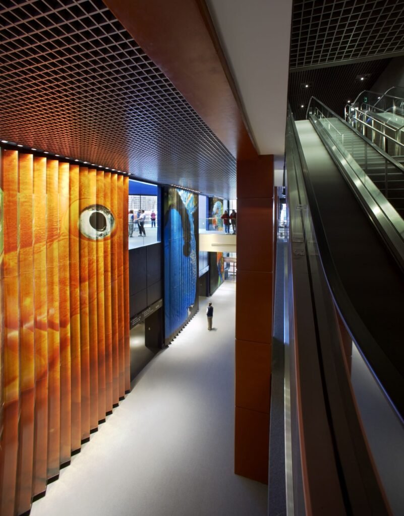 National Aquarium (Baltimore) — fresque murale — Chermayeff & Geismar & Haviv