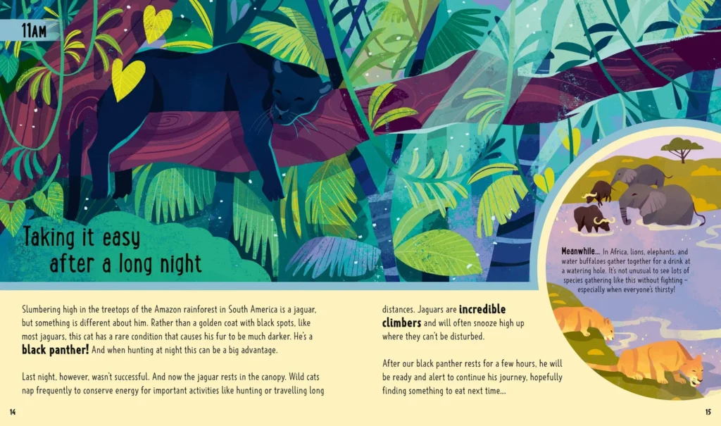 Big Cats (A Day in the Life) – sieste de la panthère — Chaaya Prabhat