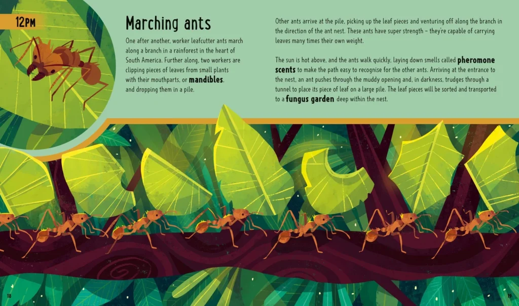 Bugs (A Day in the Life) – fourmis coupeuses de feuilles — Chaaya Prabhat