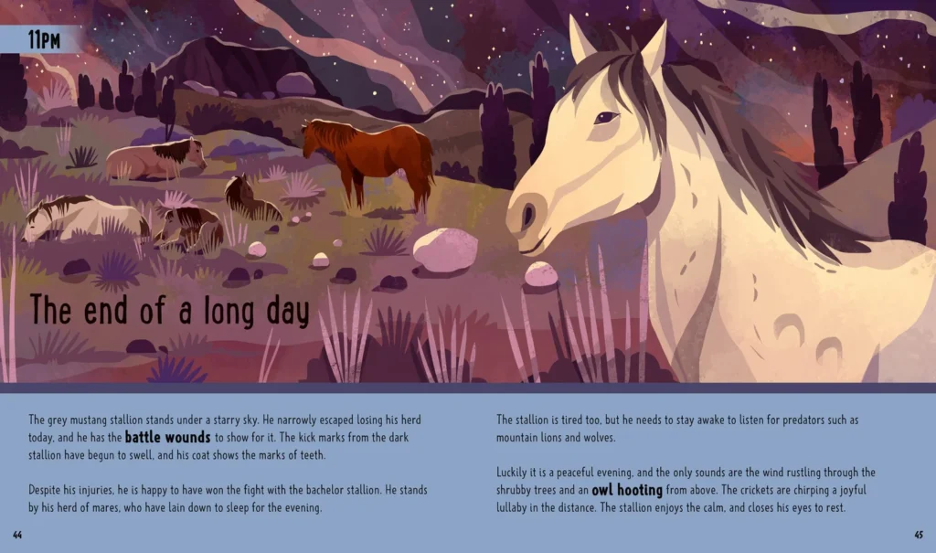 Horses (A Day in the Life) – repos des mustangs — Chaaya Prabhat