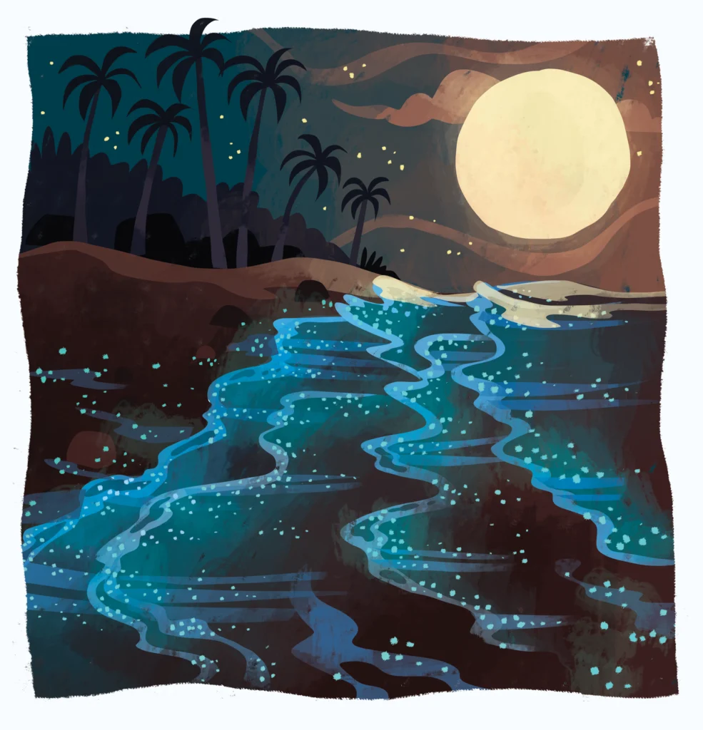 « Lighting in the Dark » – illustration — Chaaya Prabhat