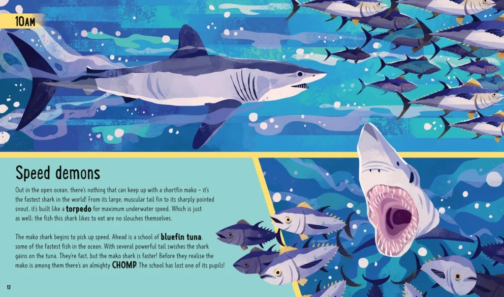 Sharks (A Day in the Life) – Mako contre thon — Chaaya Prabhat