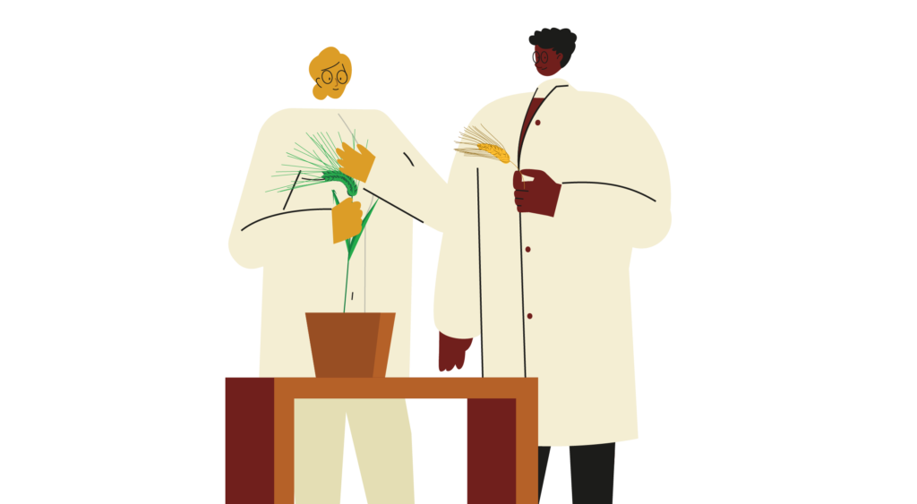 Crop Trust BOLD – Seed Journey — EPIC Agency