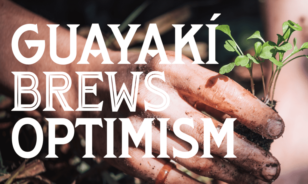 Guayakí Yerba Mate — « Brew Optimism » — Moxie Sozo