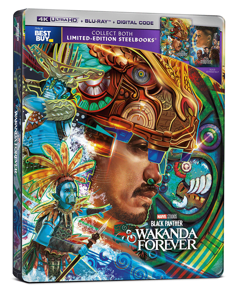 Wakanda Forever – détail — Orlando Arocena
