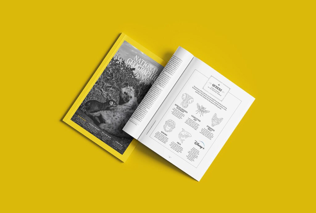 National Geographic – illustration éditoriale (Behance) — Skilline