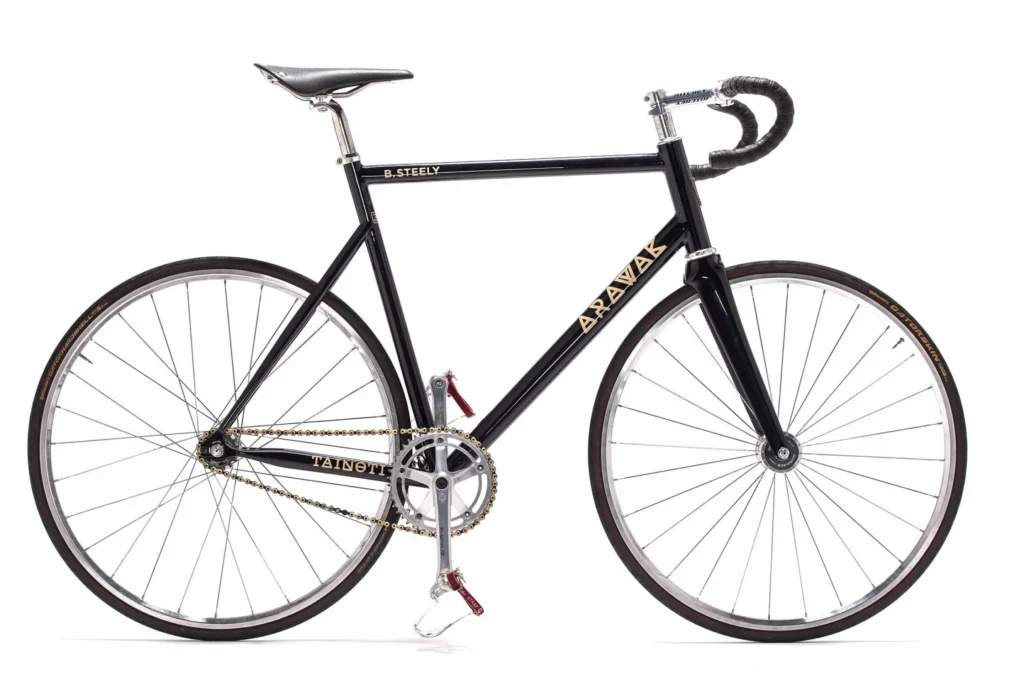 Arawak Cycles — vélo et head badge — Steely Works