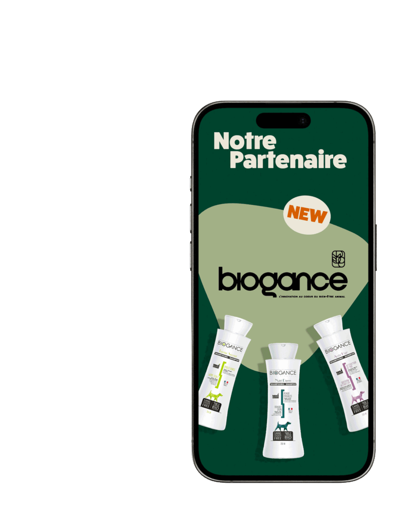 Croq-Nutrition – gabarit de story animé — Cominup