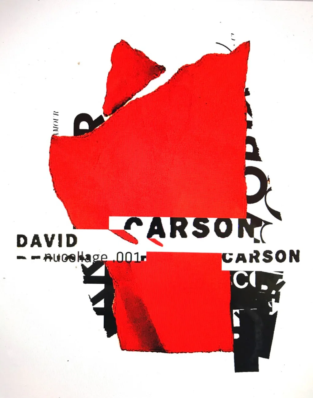 nucollage.001 — David Carson
