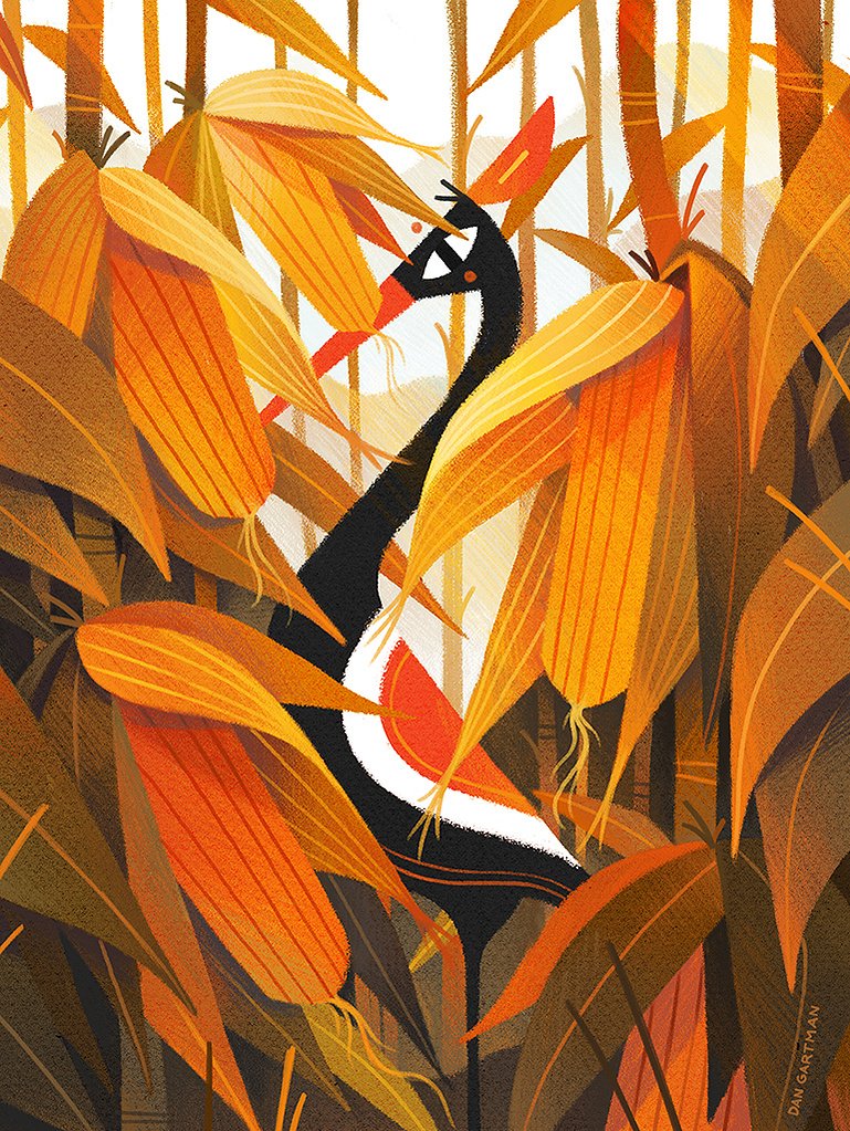 La grue dans les épis — Dan Gartman