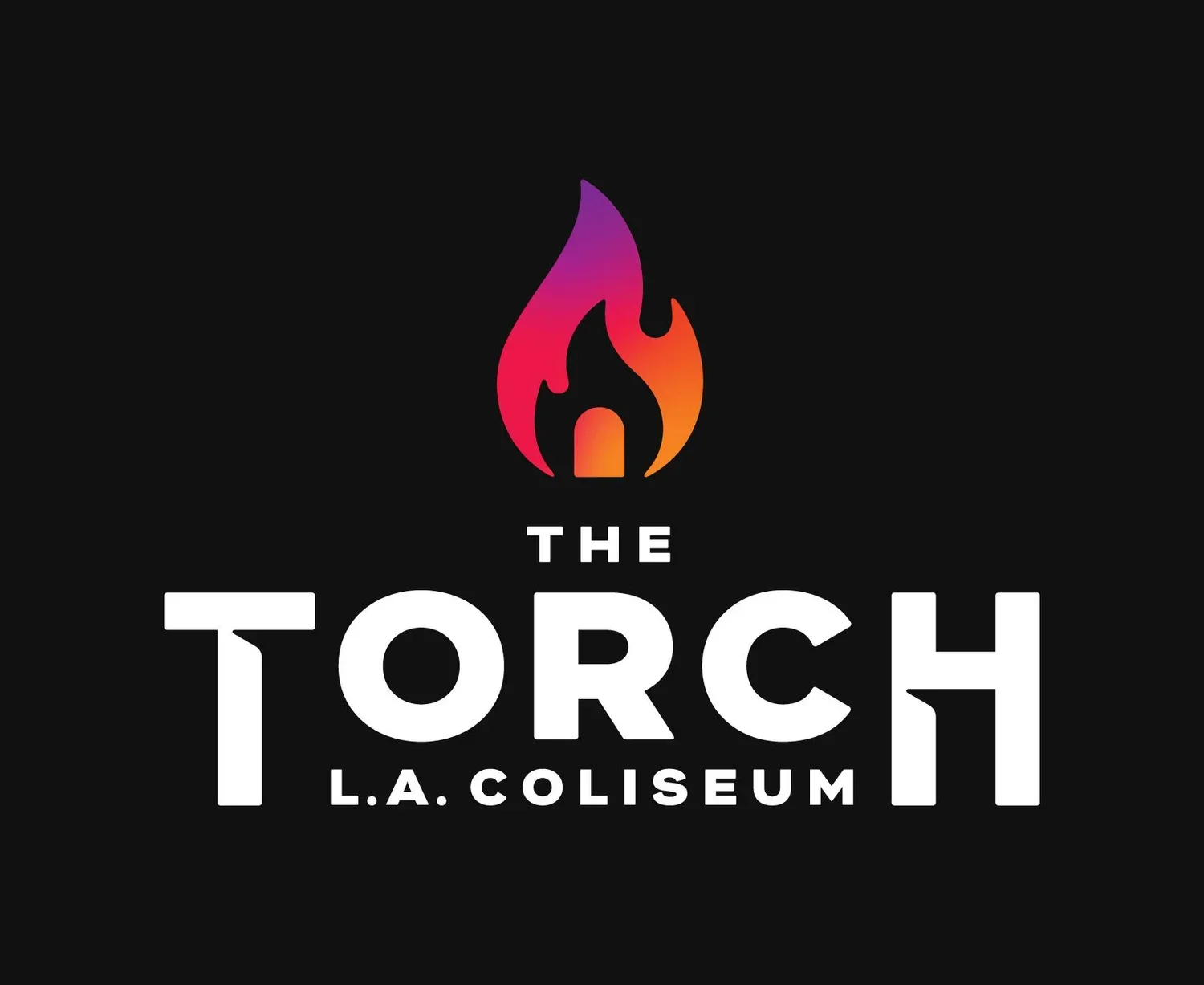 Logo The Torch — DKNG