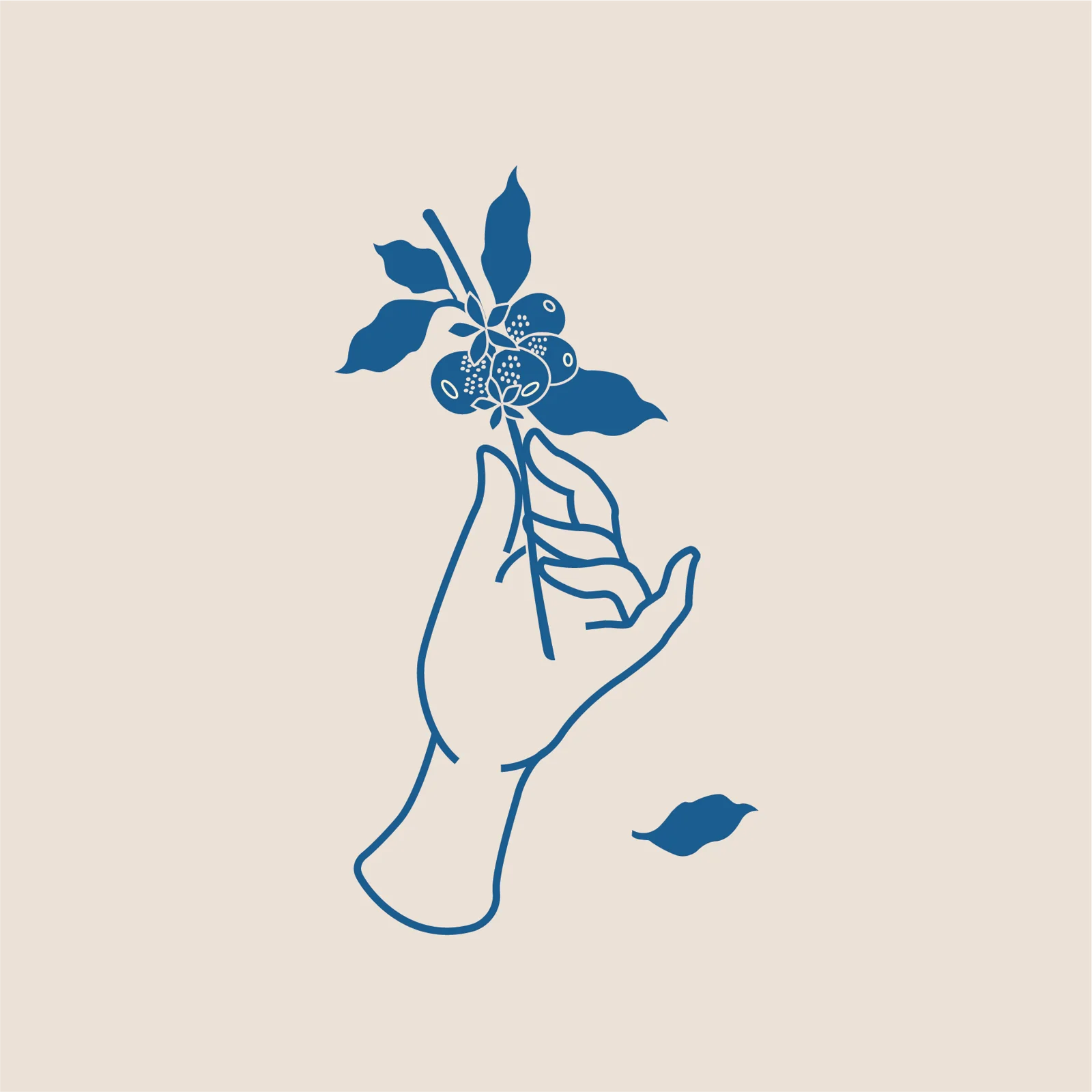 Bean Blossom : la main — Daphna Sebbane