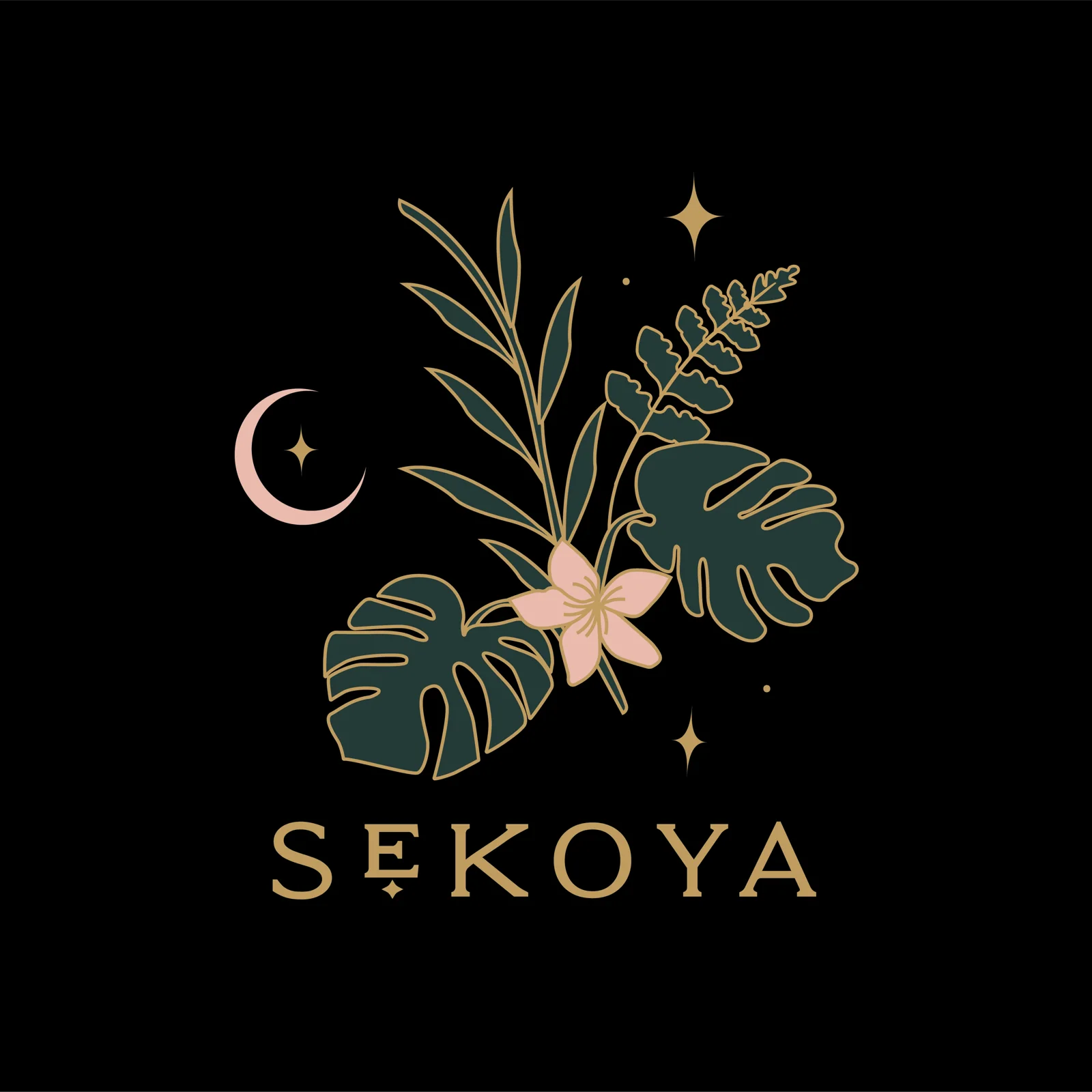 Sekoya : variante plante — Daphna Sebbane