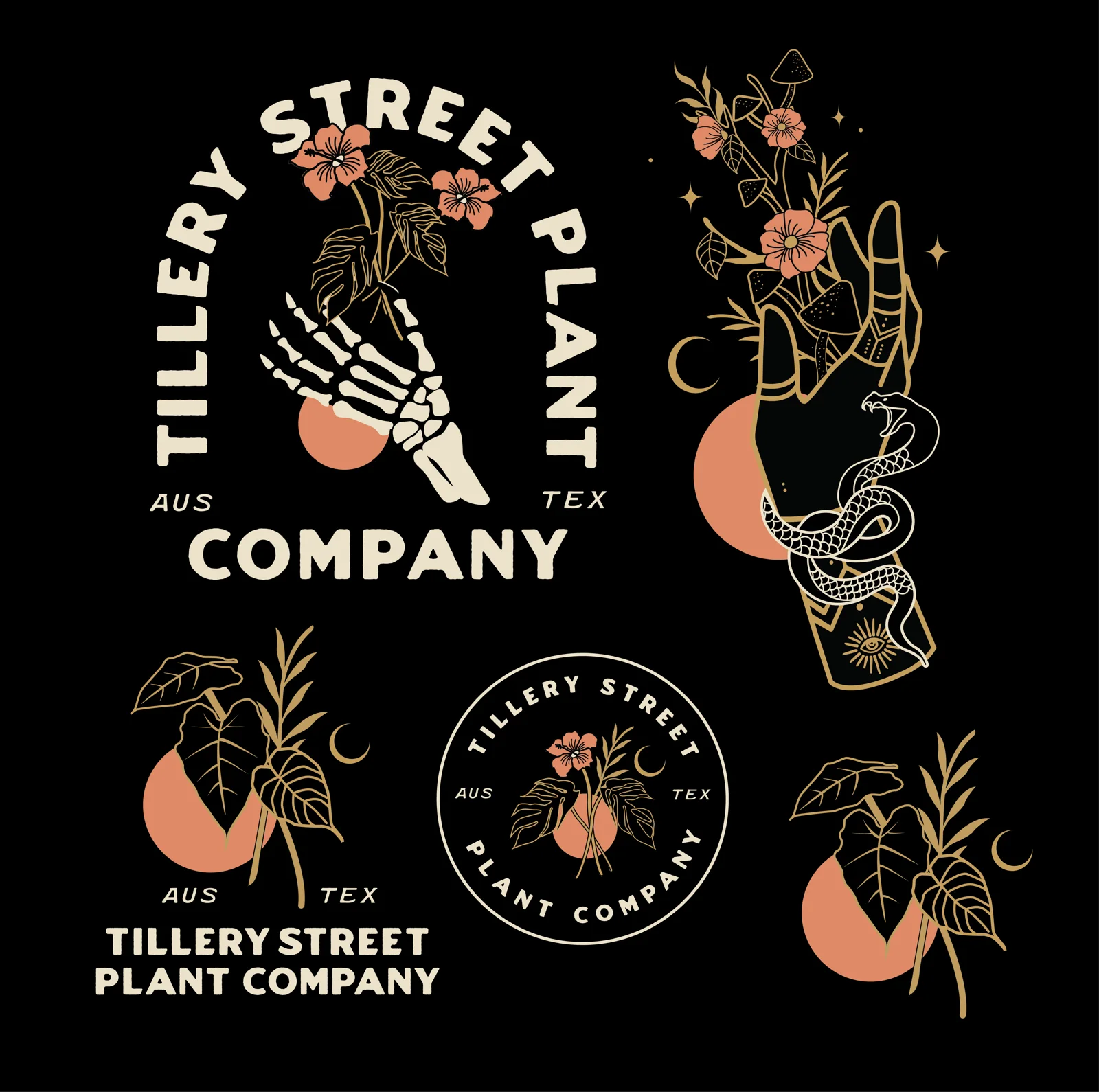Tillery Street Plant Co. — Daphna Sebbane