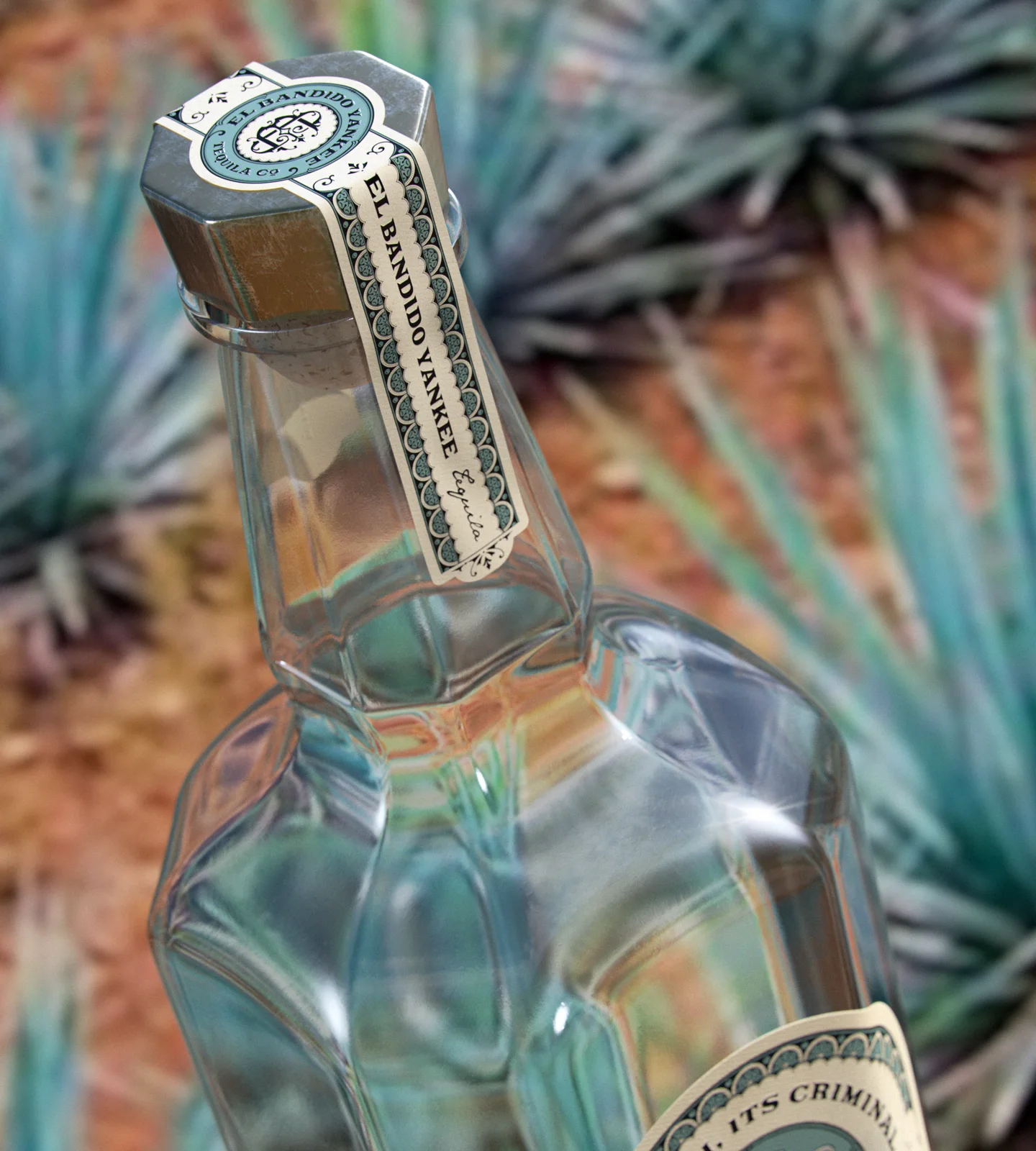 El Bandido Yankee — Dusan Sol