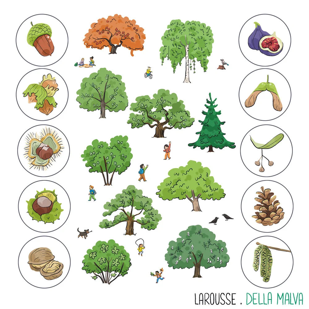 Pourquoi les arbres poussent si haut — Eleonore Della Malva
