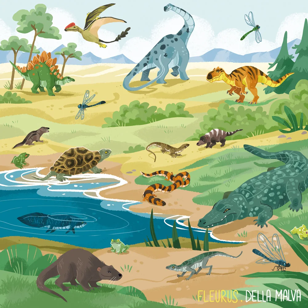 L’imagerie Les dinosaures — Eleonore Della Malva