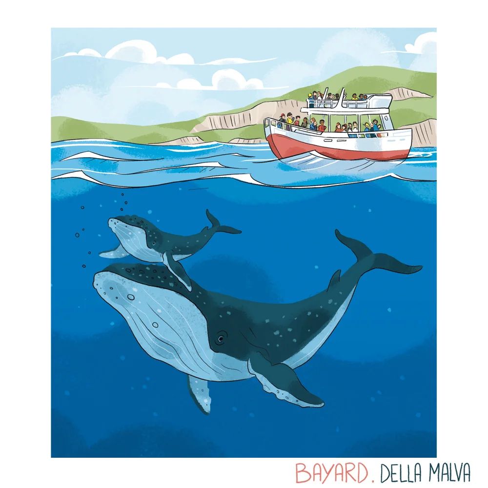 Youpi : la baleine, géante des océans — Eleonore Della Malva