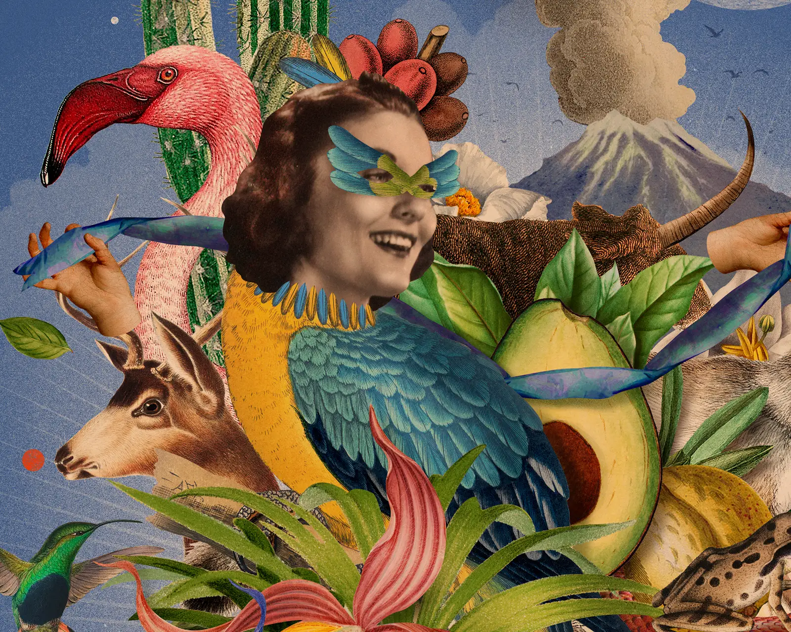 Détail : flamant, perroquet et avocat — Eduardo Ramón (Aire Libre)