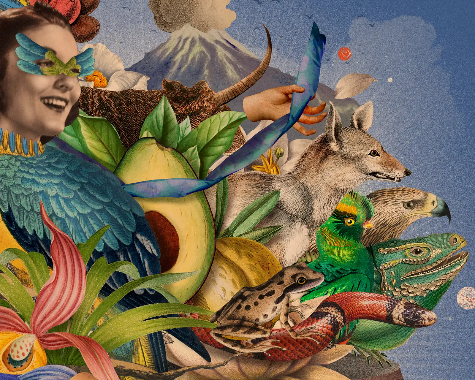 Détail : faune et flore du Mexique — Eduardo Ramón (Aire Libre)