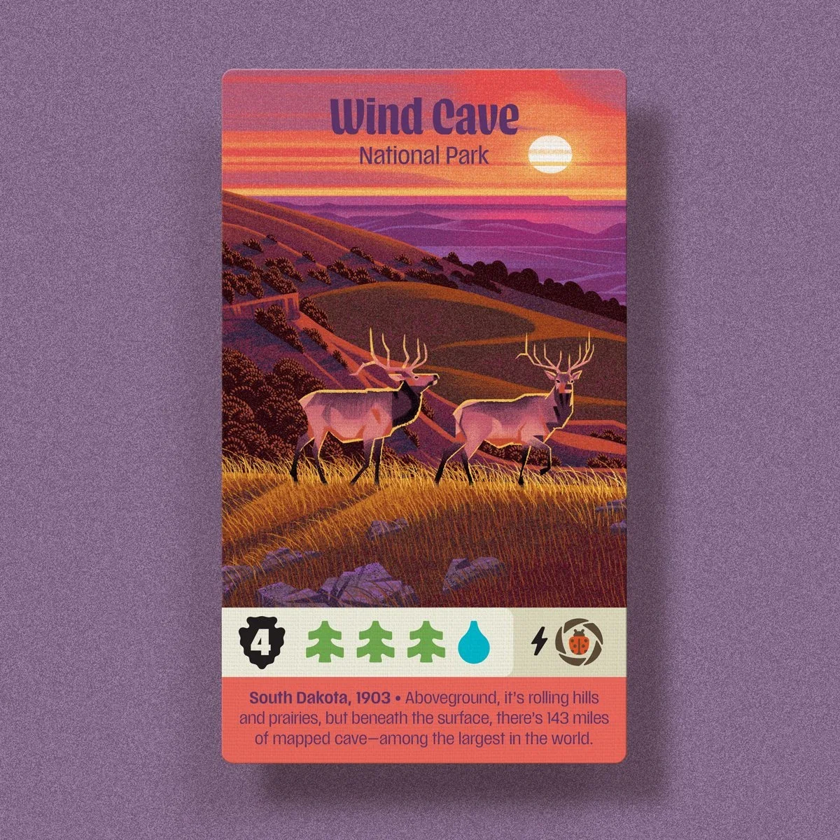 Parks, carte Wind Cave — Emrich Office