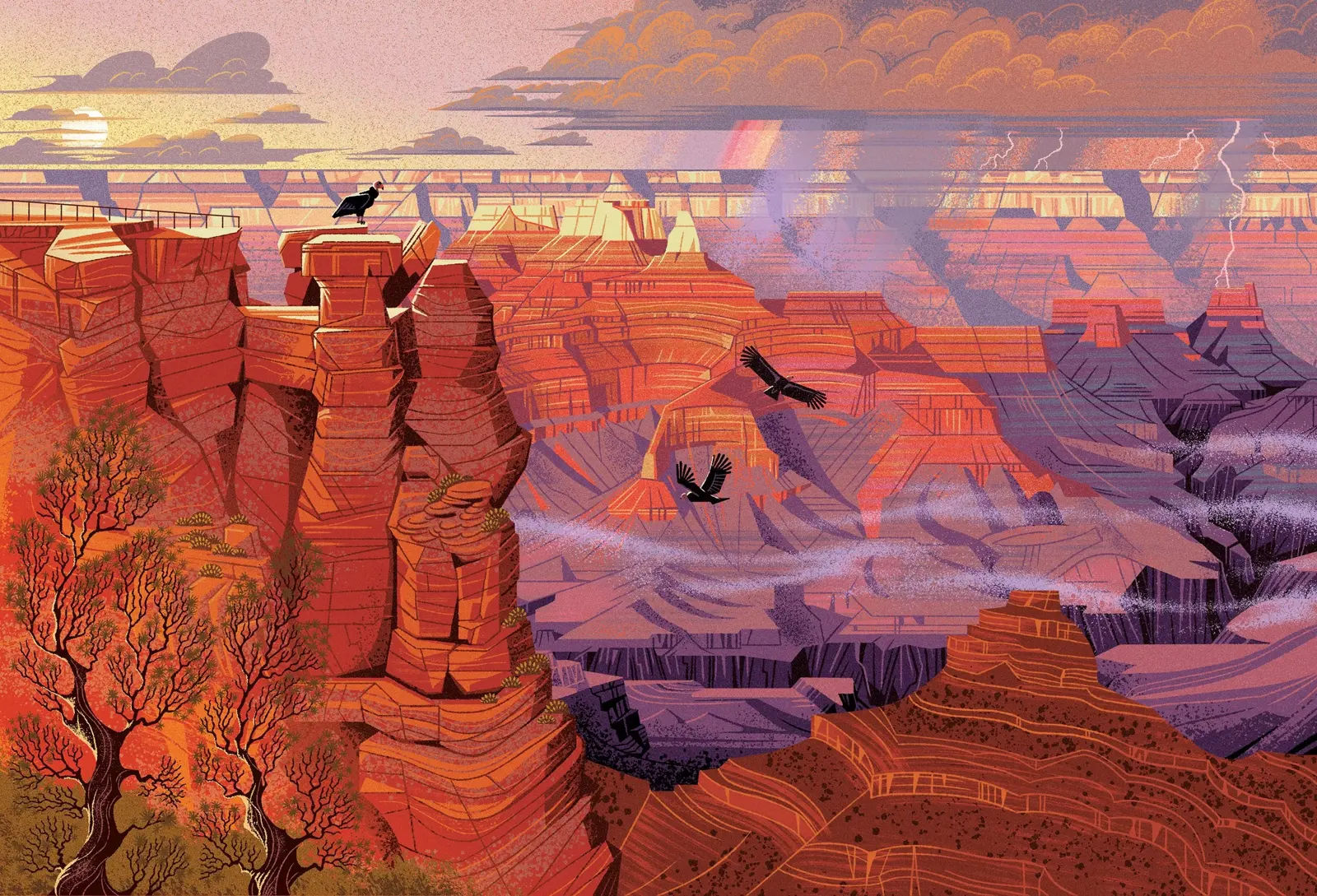 Parks, Grand Canyon (illustration clé) — Emrich Office