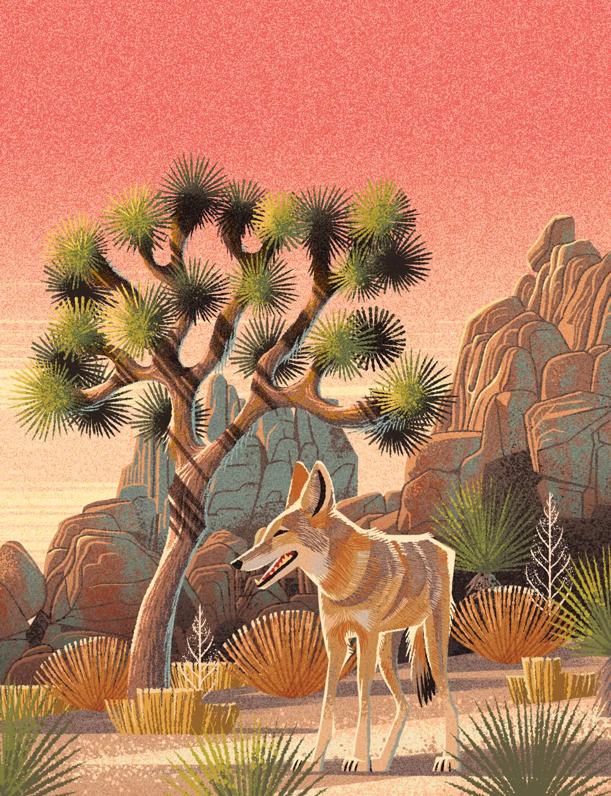 Parks, Joshua Tree, version finale — Emrich Office