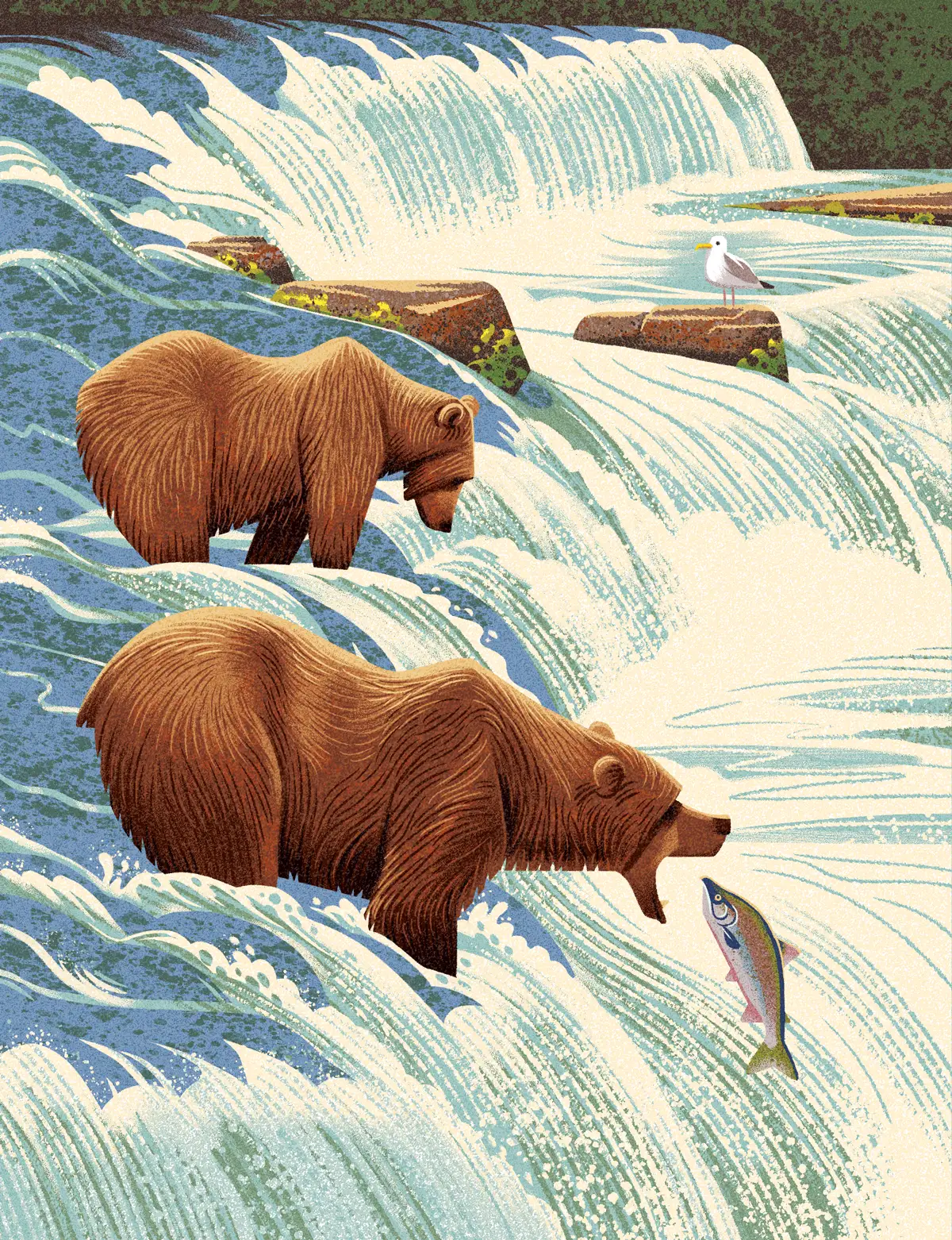 Parks, Katmai, version finale — Emrich Office