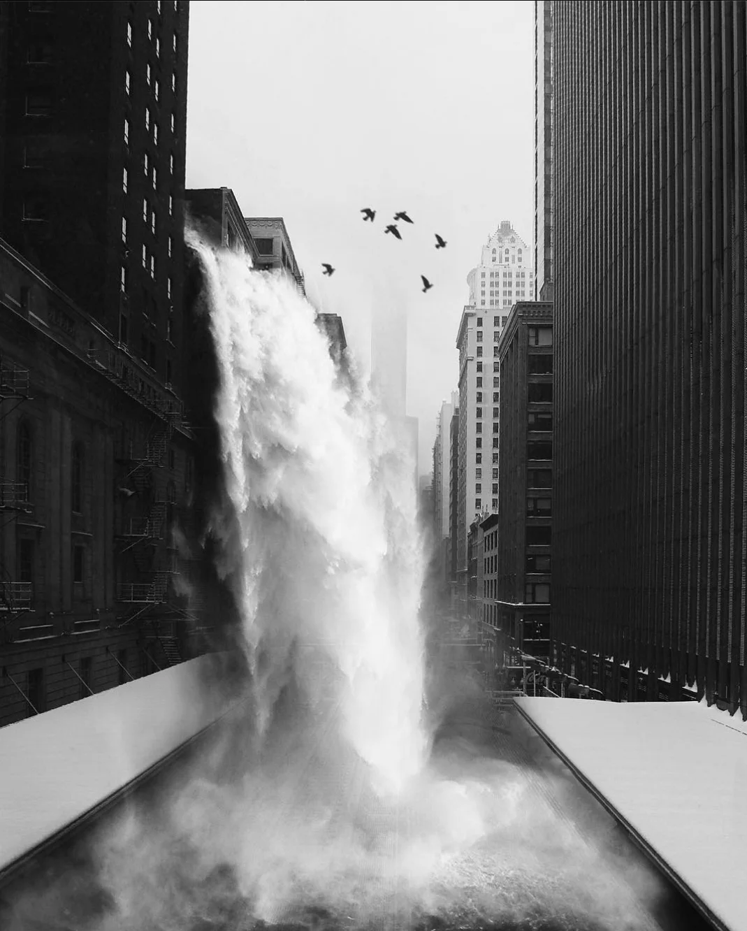 Chute en noir et blanc — Elise Swopes