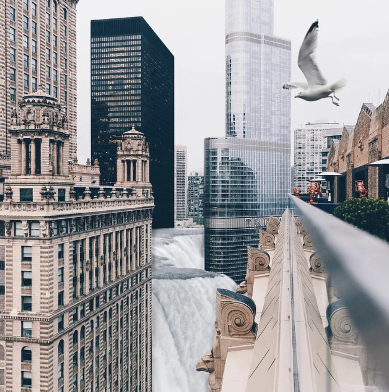 Chute entre les toits — Elise Swopes