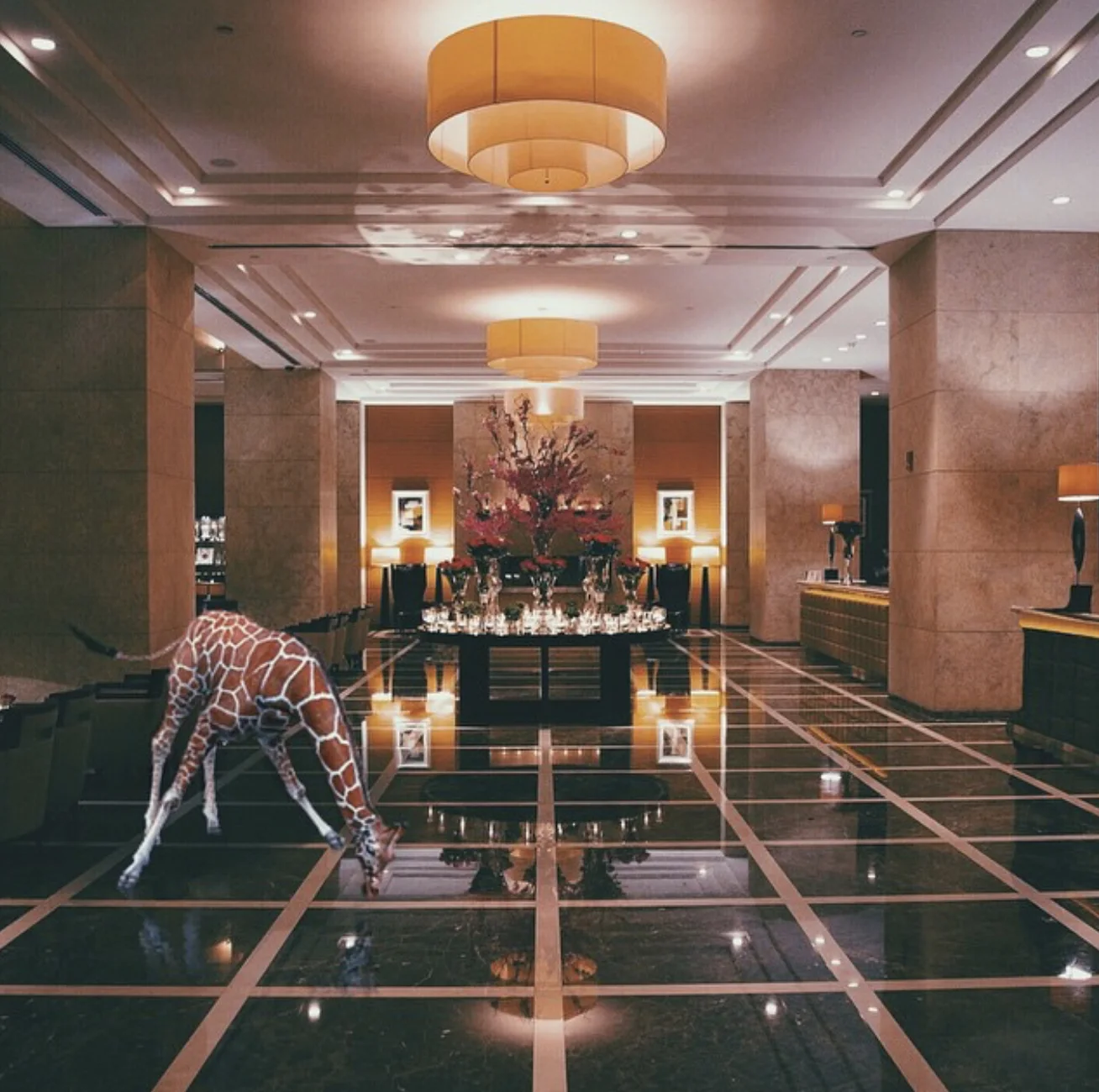 Girafe dans le hall — Elise Swopes