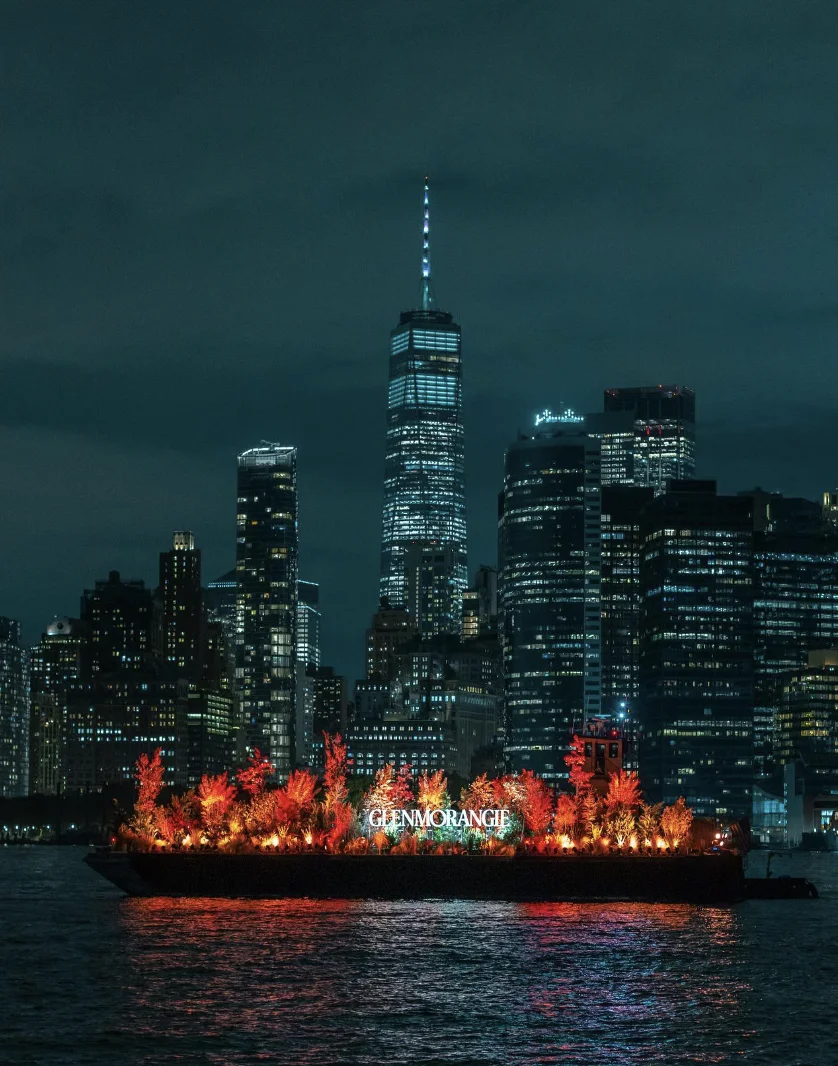 Skyline et feu — Elise Swopes