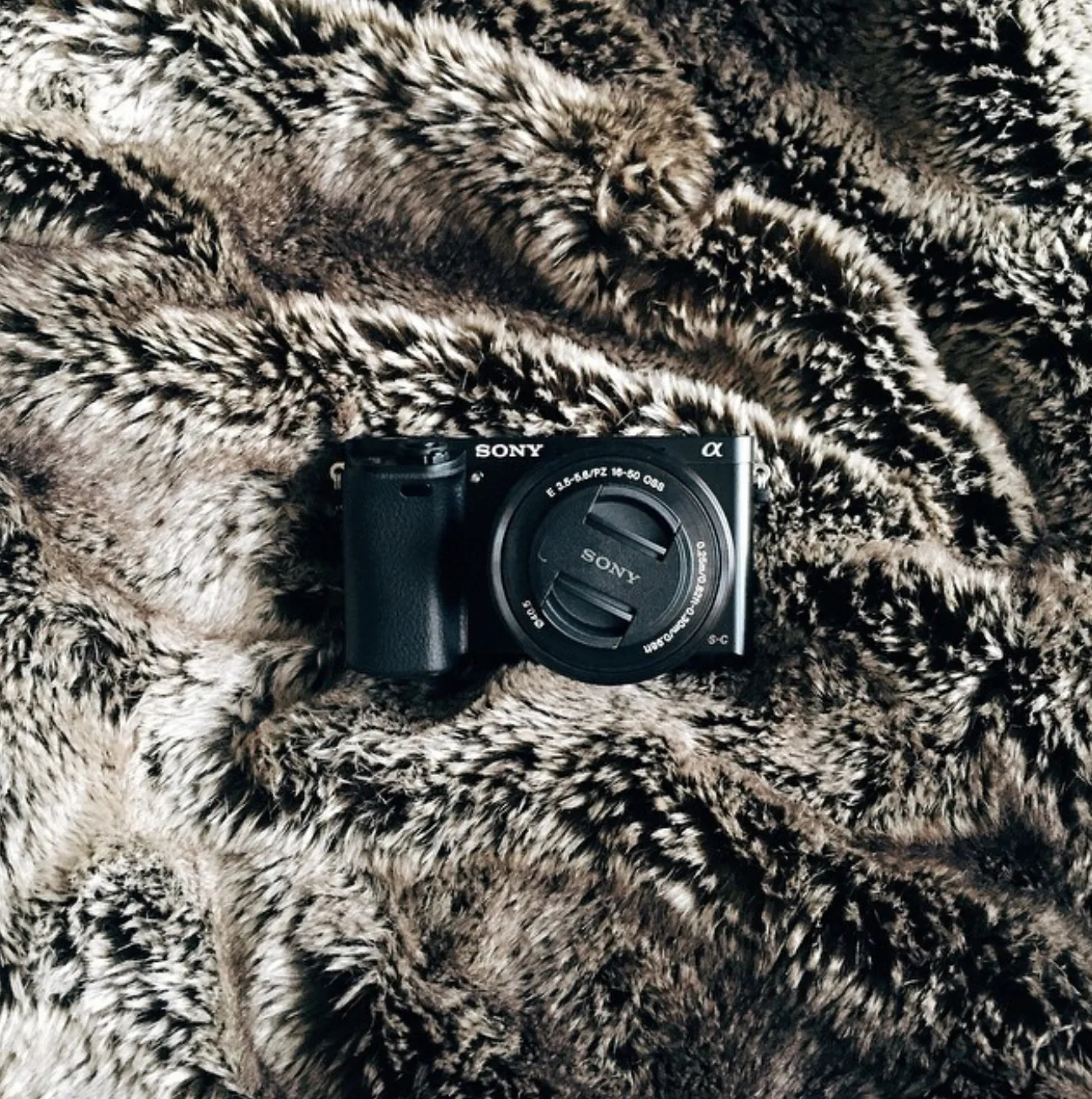 Sony a6000 sur fourrure — Elise Swopes