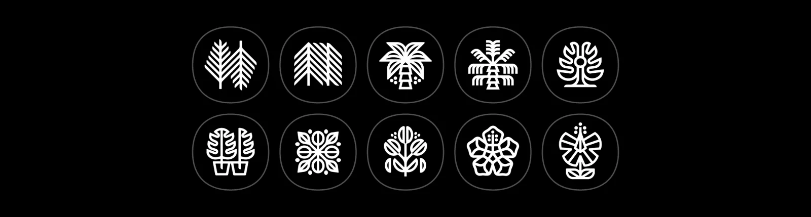 Grille d’icônes de plantes en traits blancs — Ethan Fender