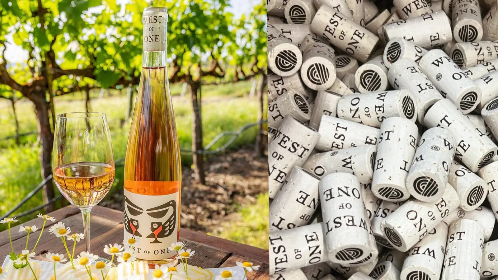 Bouteille rosée au milieu des vignes et des bouchons — Ethan Fender