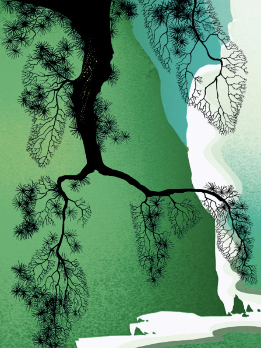 Sea Cliffs and Pine Branch — Eyvind Earle