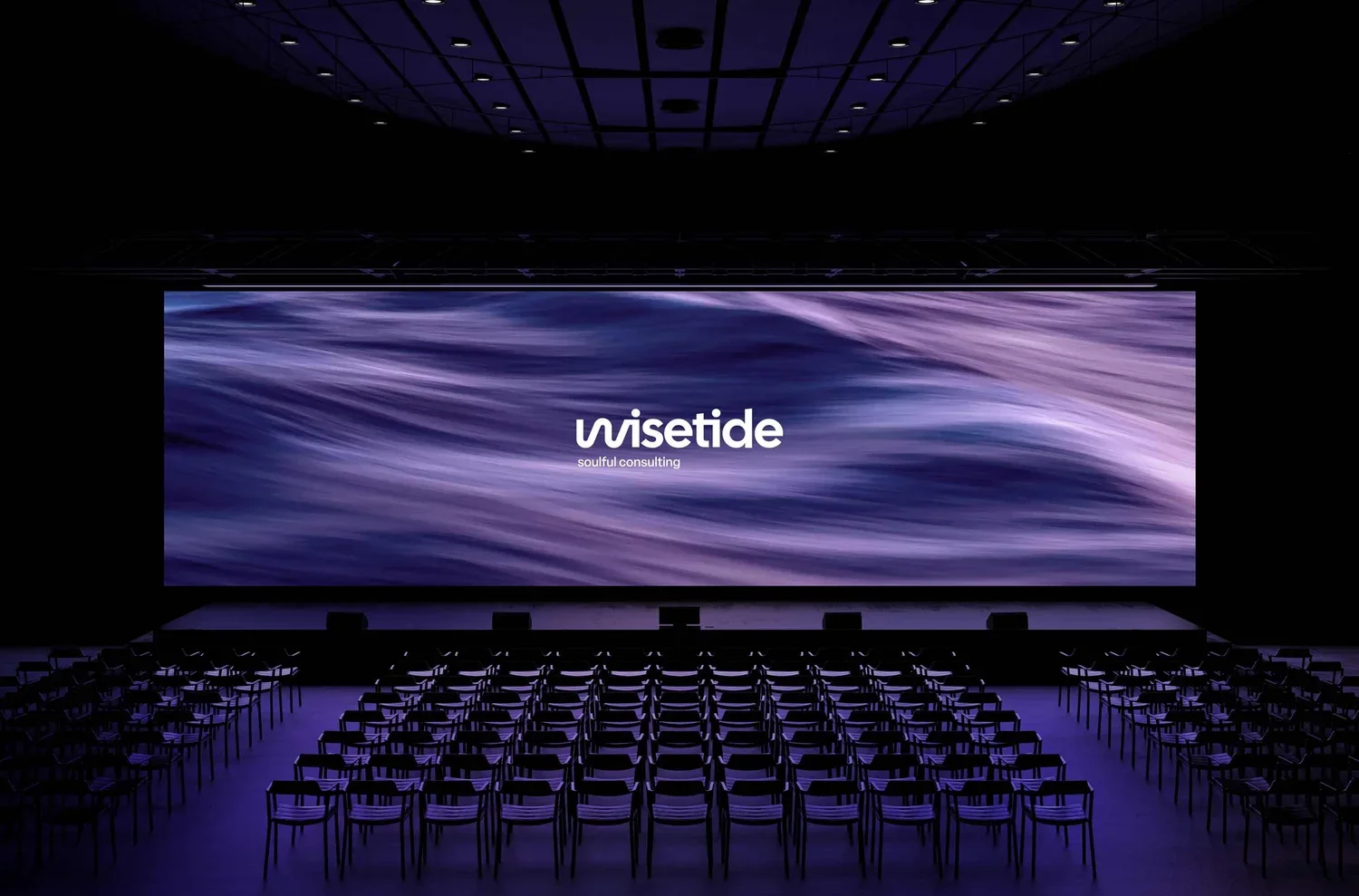Wisetide, grand écran — Felipe Holman