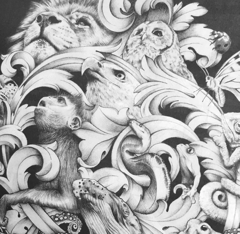 Beck’s Art Label — Greg Coulton