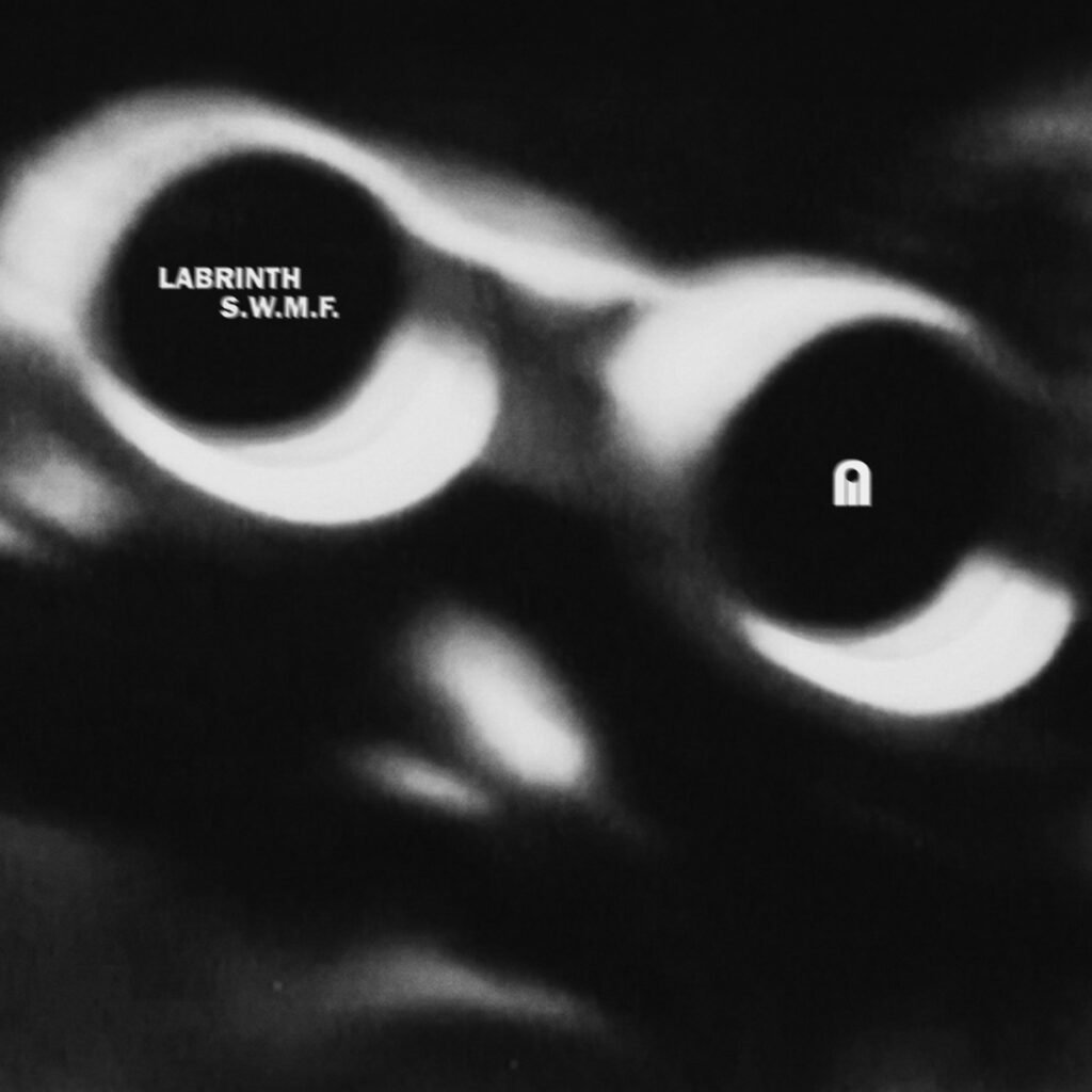 Pochette de S.W.M.F. — Labrinth